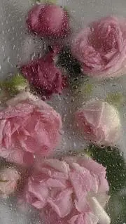 じゅん‪‪❤︎‬お気軽にコメントくださいの画像