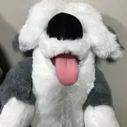 まっくすの画像