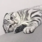 カズキの画像
