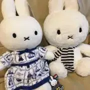 うさぎの画像