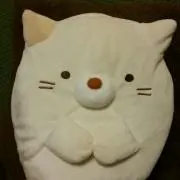 しょうこの画像