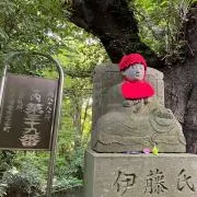 Wakameの画像