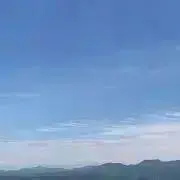 ごんの画像