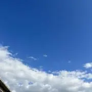 みちの画像