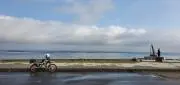 ワルカの画像