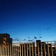 ソラの画像