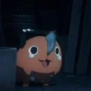 55の画像