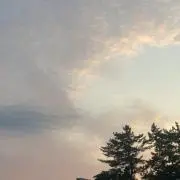 ponyoの画像