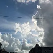 7/29-8/30まで一旦中止しますの画像
