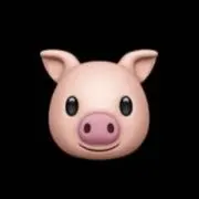 silky porkの画像