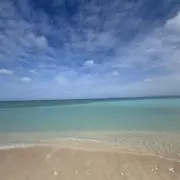 サンライズ285の画像