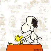 cocoの画像
