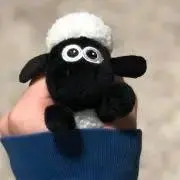 めこの画像