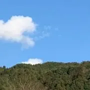 まーの画像