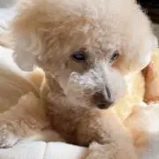 SARI☆の画像