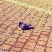 さおりの画像