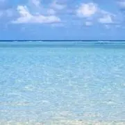 umiの画像