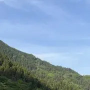 ぶん子の画像