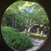 血紅龍 アロワナ アクリルガッシュ 絵画 版画 - メルカリ