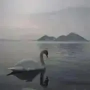 フォンデュの画像