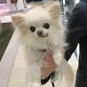 yumi ゆみんの画像
