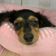 NK☆