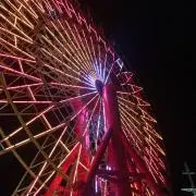 りほ