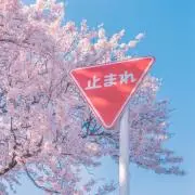 なつの画像