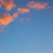 アリ
