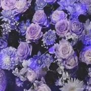 ︎︎☺︎︎︎☺︎の画像