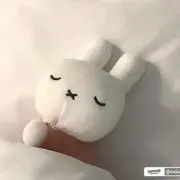 CHI~の画像