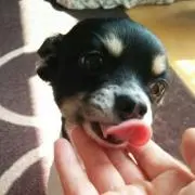 ユリア
