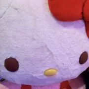 Image of u san