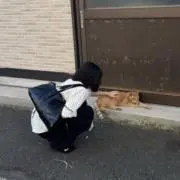 おっりー