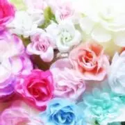 あーみん