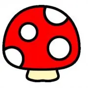 きのこの画像