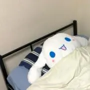 あの太の画像