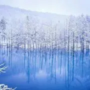Ysの画像
