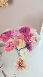 hanaの画像