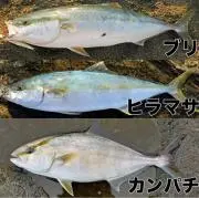 村上水軍