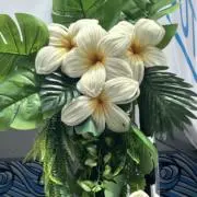 alohaの画像