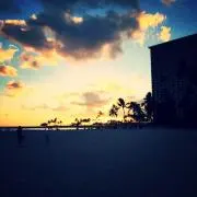 hoの画像