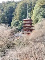 タクミンの画像