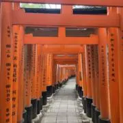 ぱられのの画像