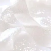 ぽぽ　フォロー割引あり★の画像