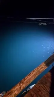 ウオの画像