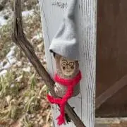 koumehimeの画像