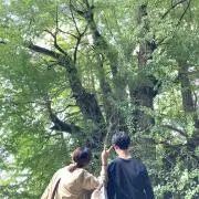 やぴこの画像