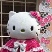katttoの画像