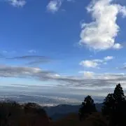 みーこの画像